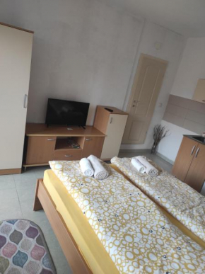 Shenk's apartment